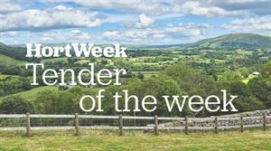 View of Llanwrthwl - credit: Flickr/Richard Szwejkowski (CC by S.A)